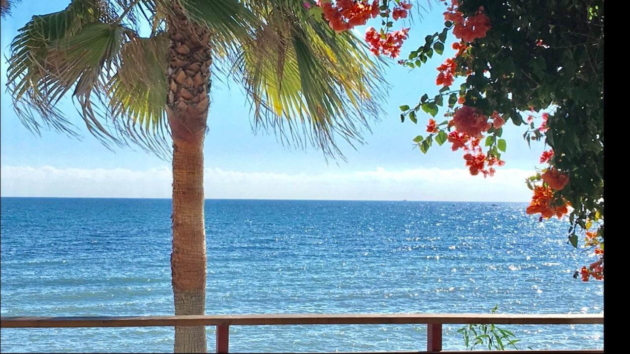 Mi Capricho Beachfront- 3-7 Apartment With Sea Views Sitio de Calahonda Dış mekan fotoğraf